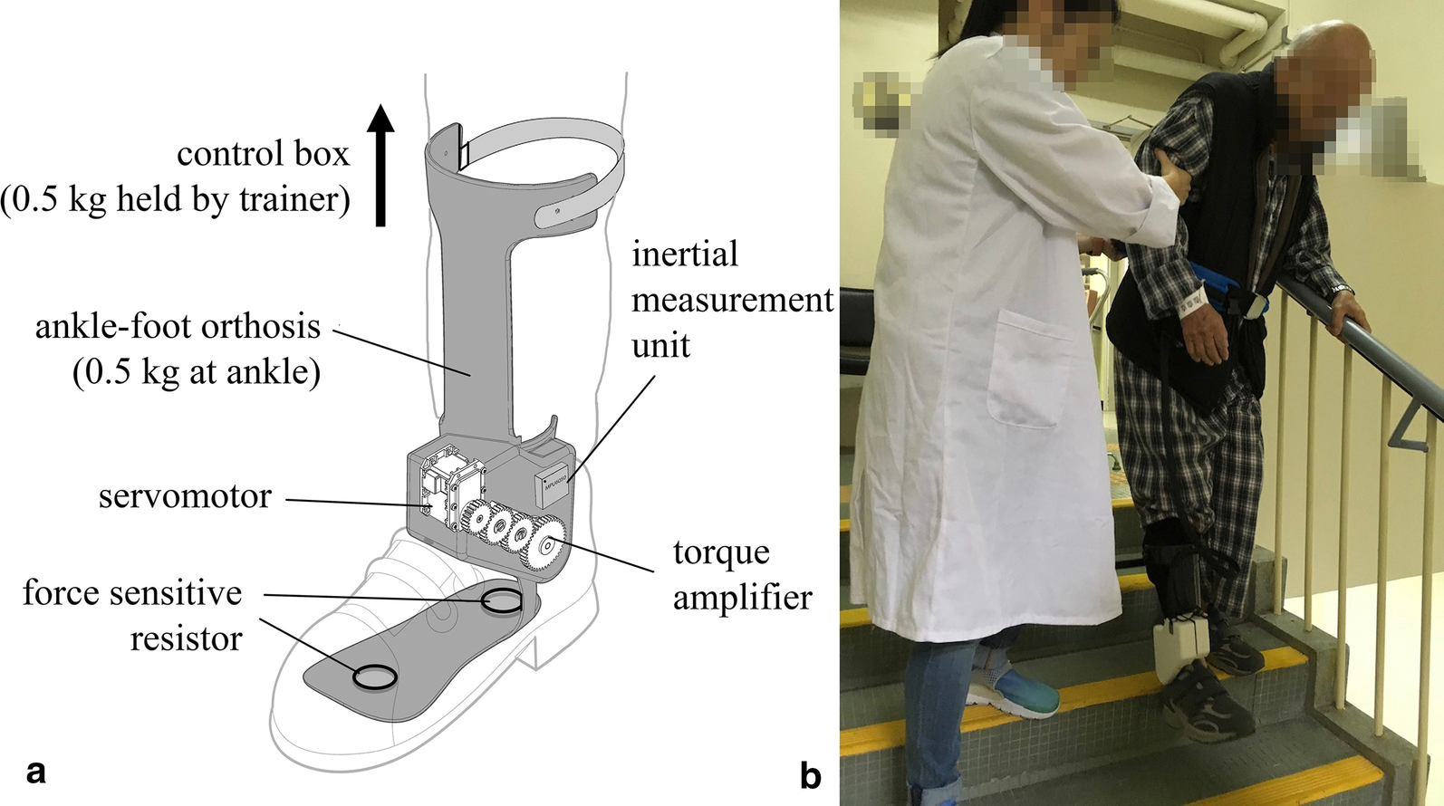 Fig. 1