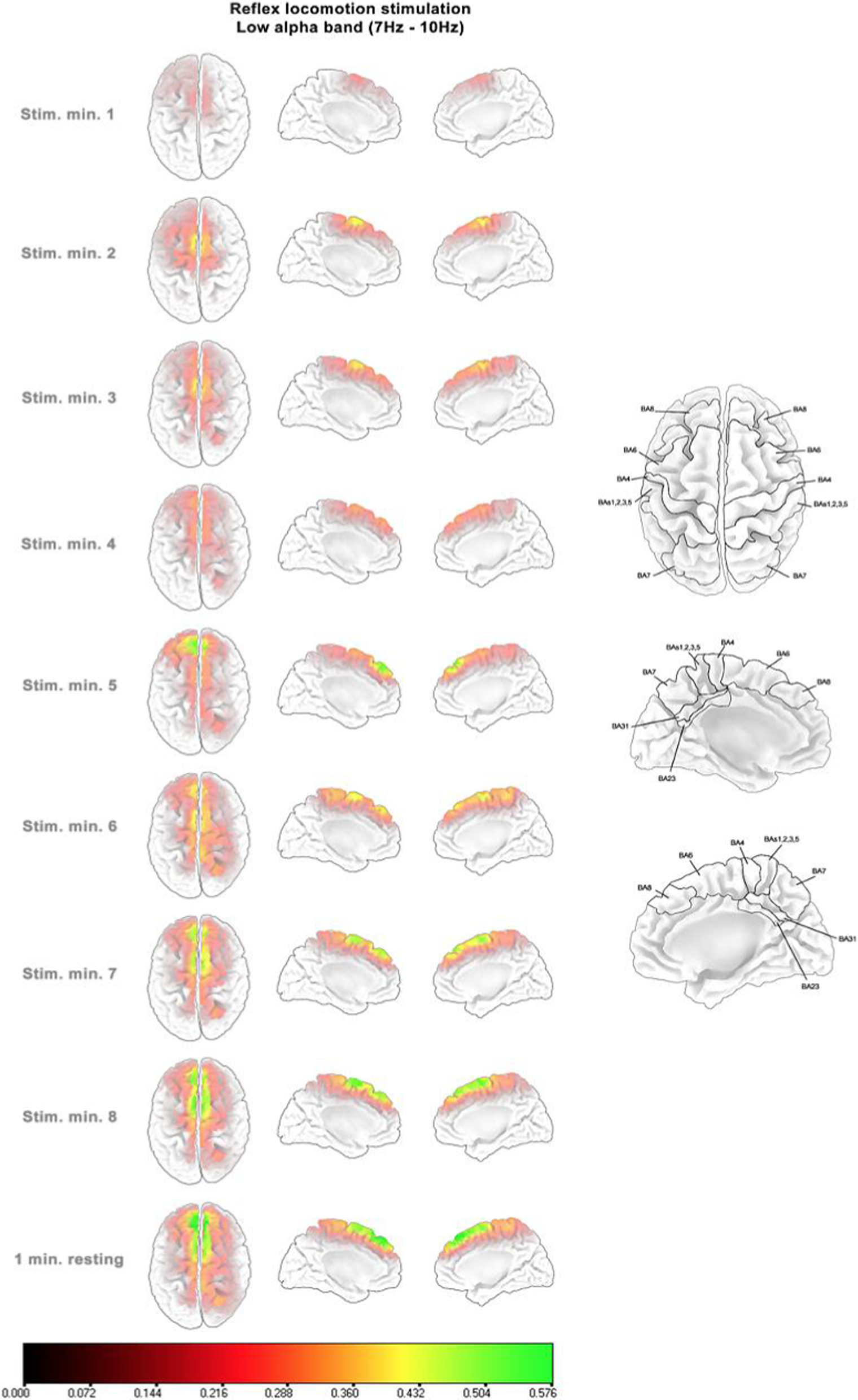 Fig. 5