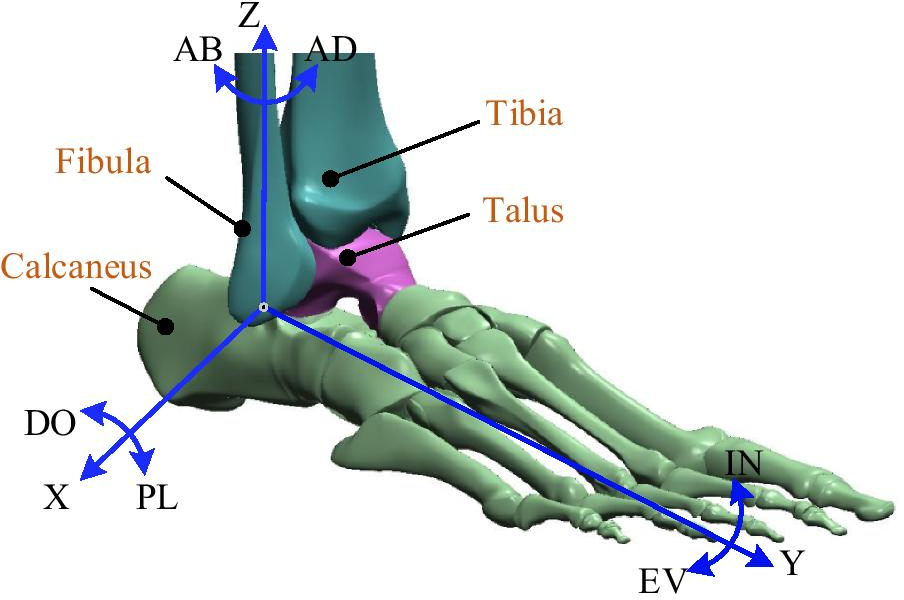 Fig. 1