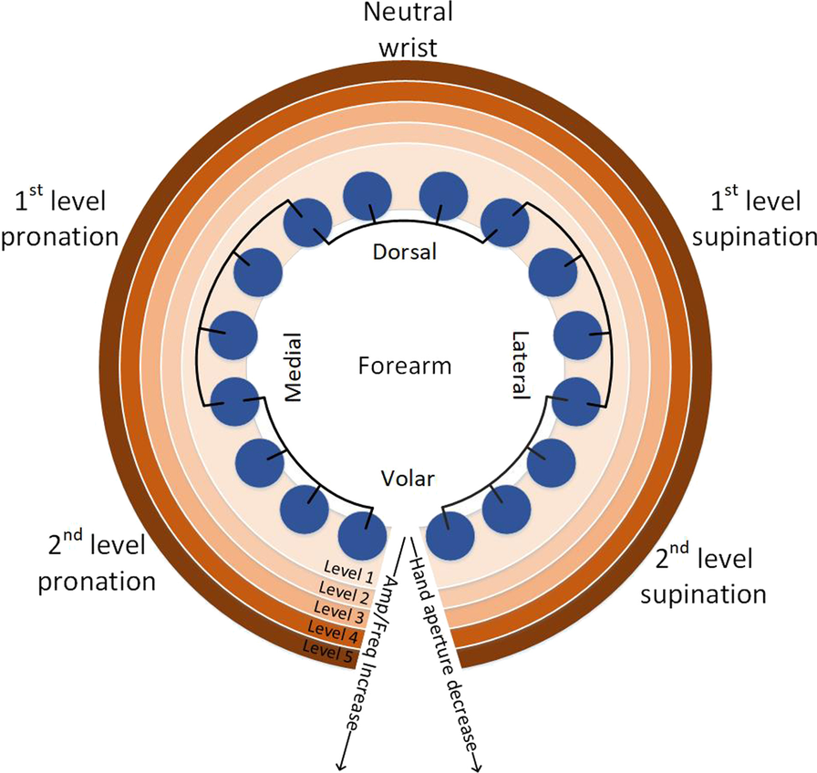 Fig. 5