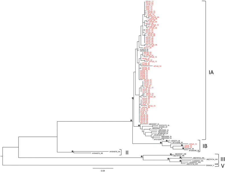 Figure 1