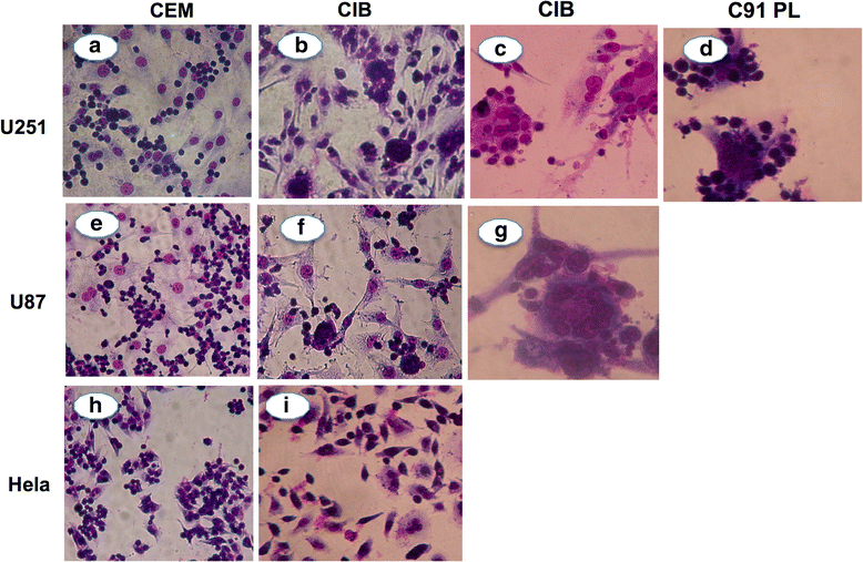 Fig. 2