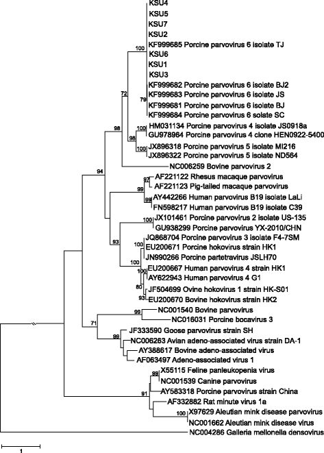 Fig. 3