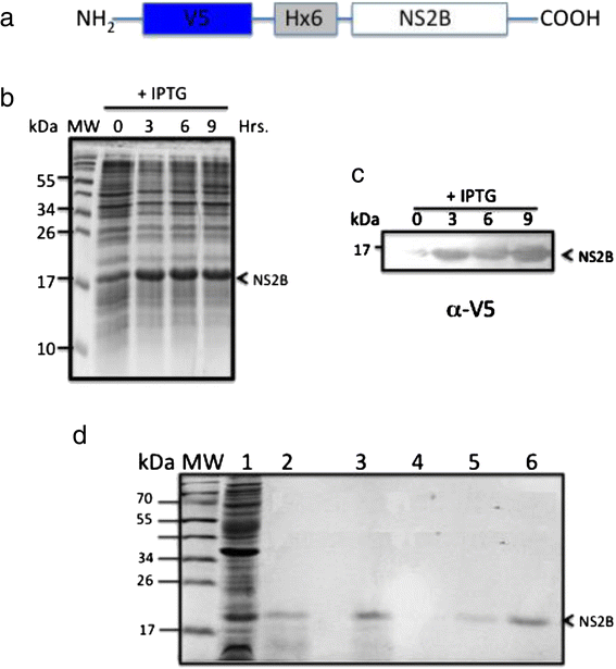 Fig. 2