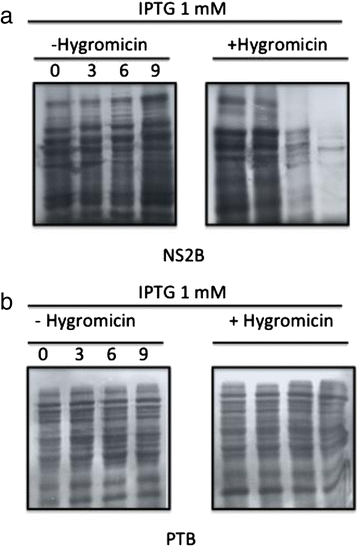 Fig. 5