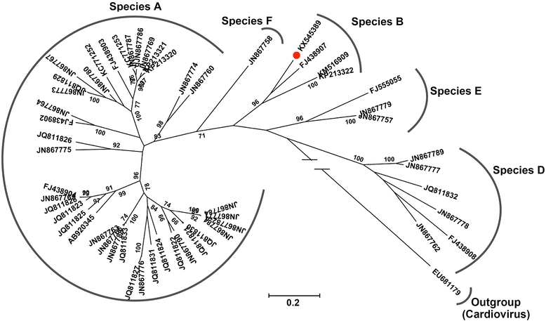 Fig. 1