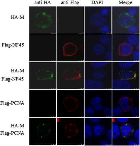 Fig. 4