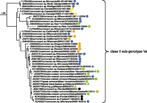 Fig. 6