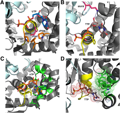 Fig. 8