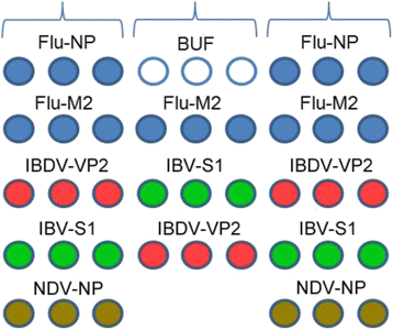 Fig. 2