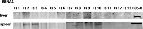 Fig. 11