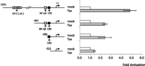 Fig. 4