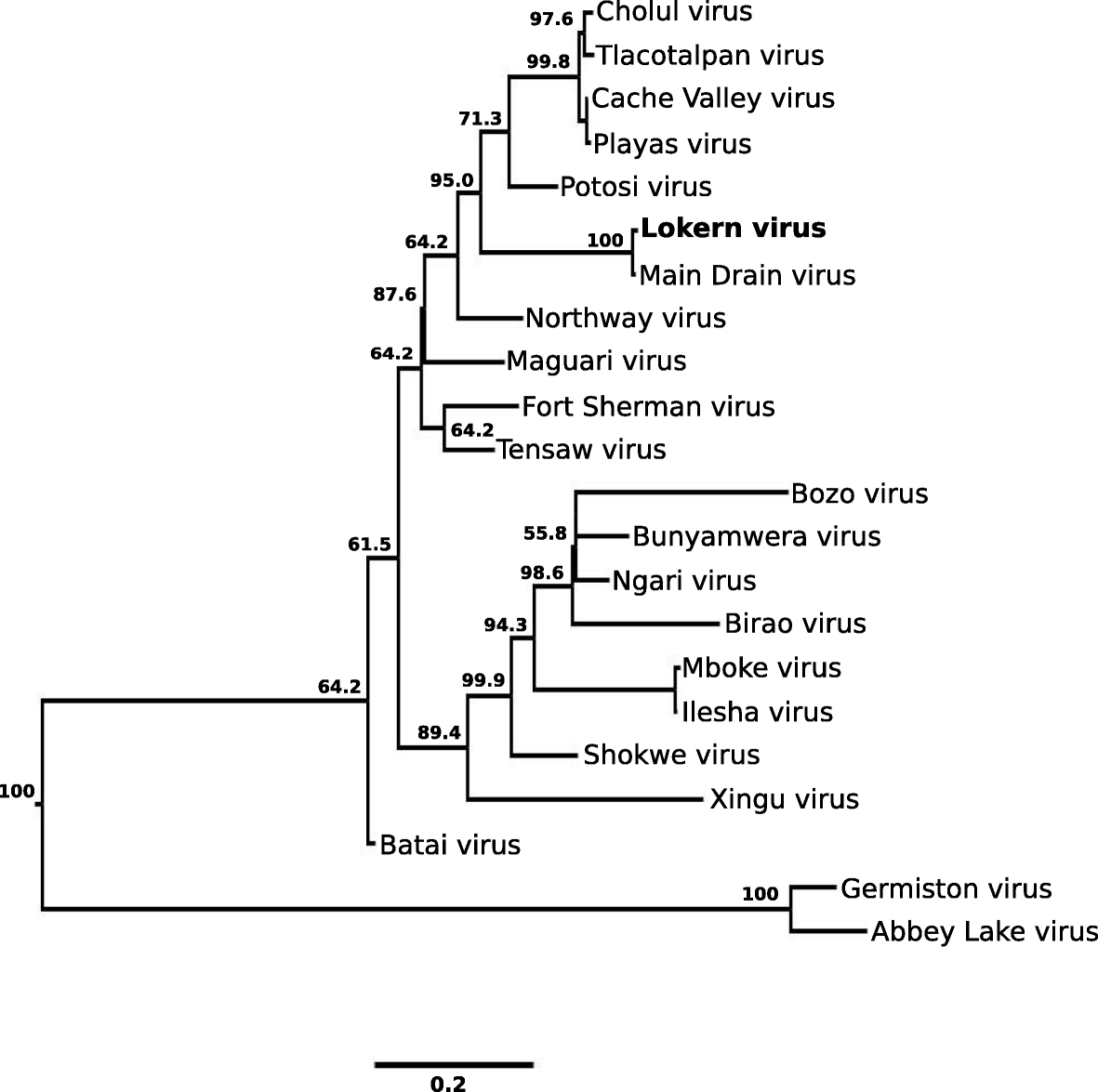 Fig. 2