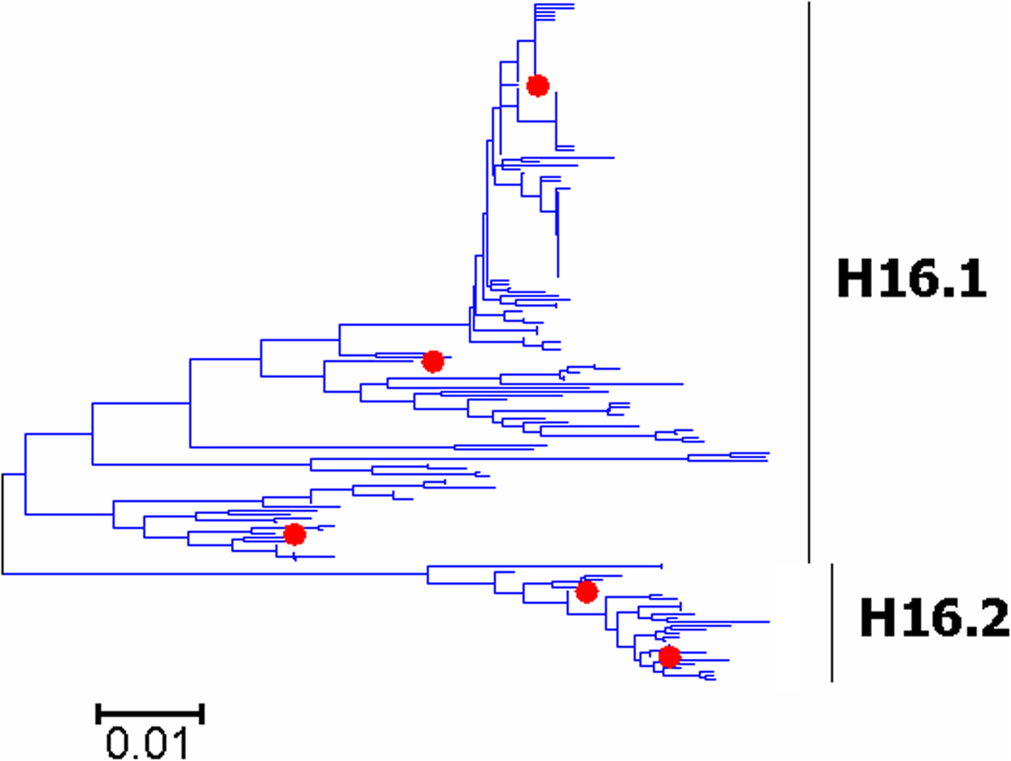 Fig. 14