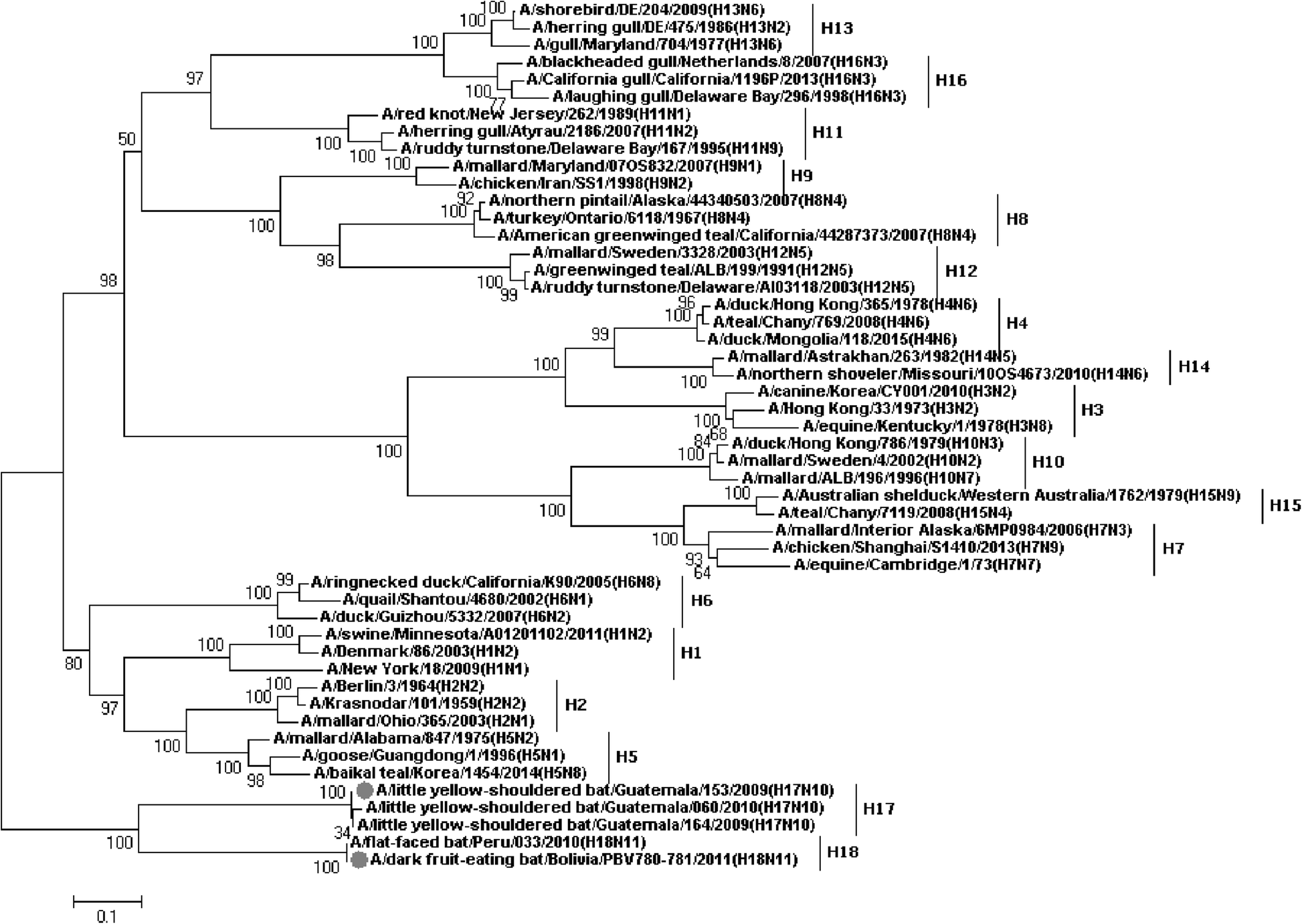 Fig. 16