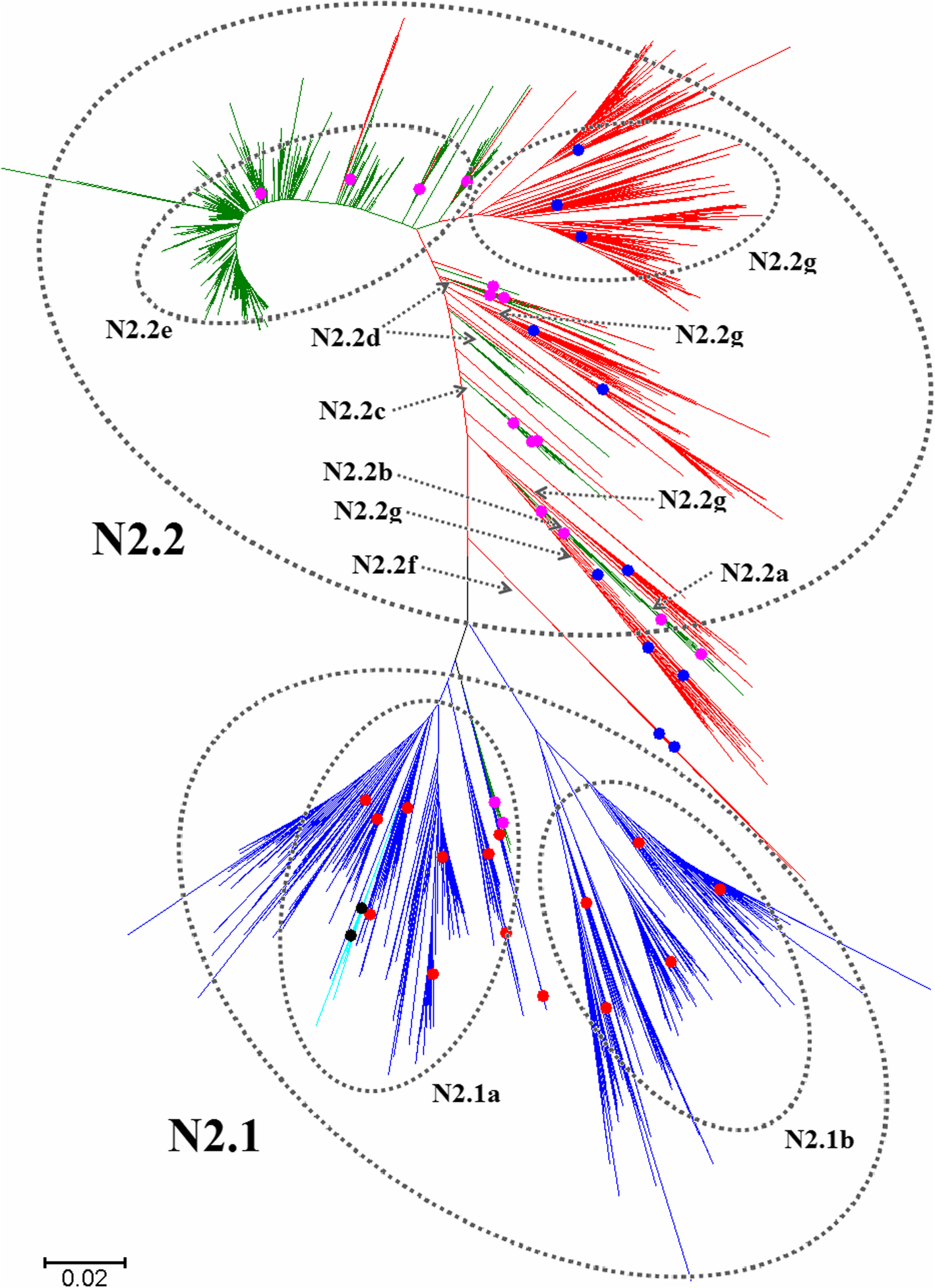 Fig. 18