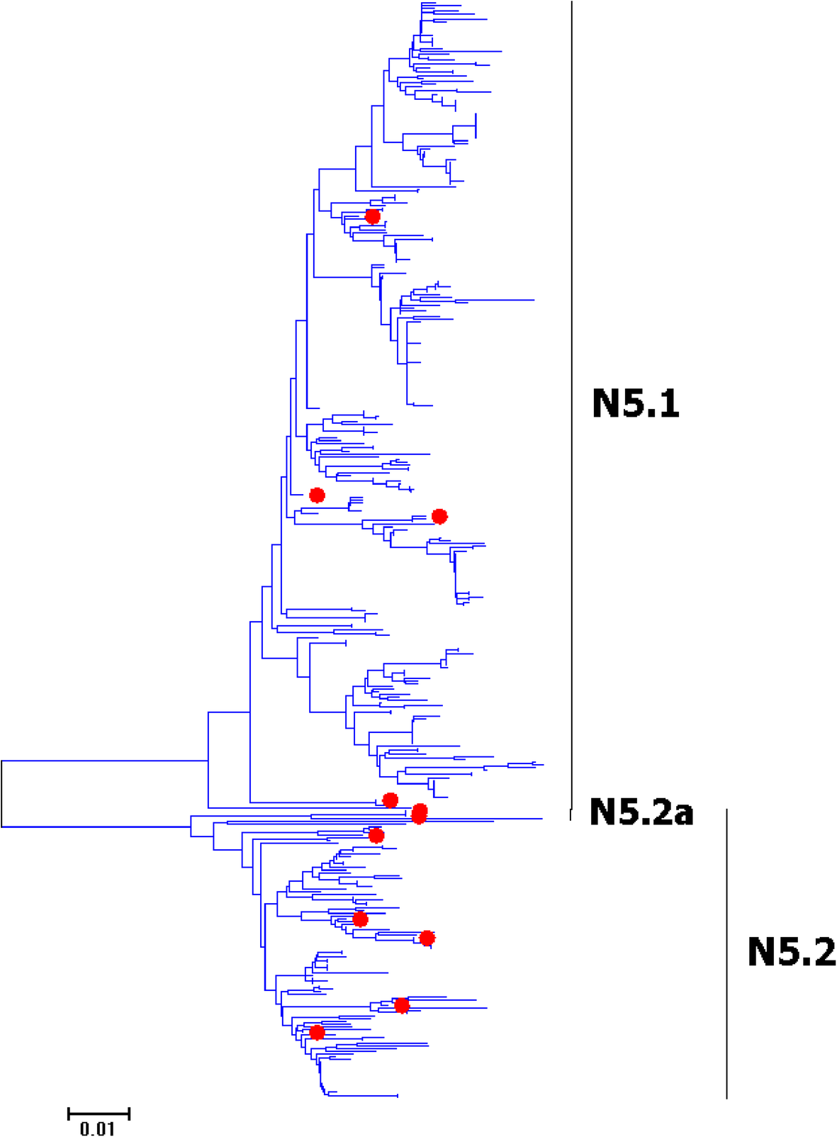 Fig. 20