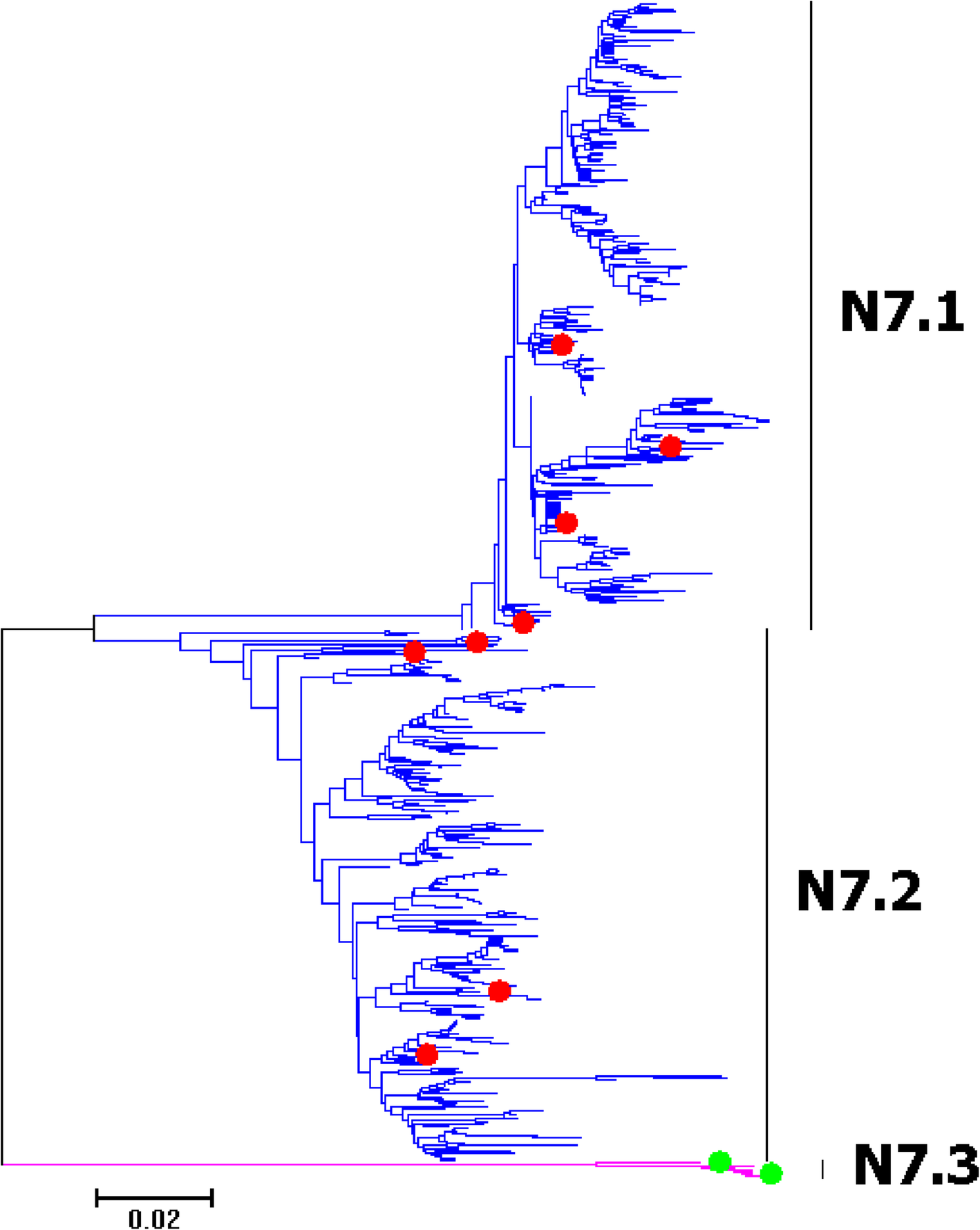 Fig. 24