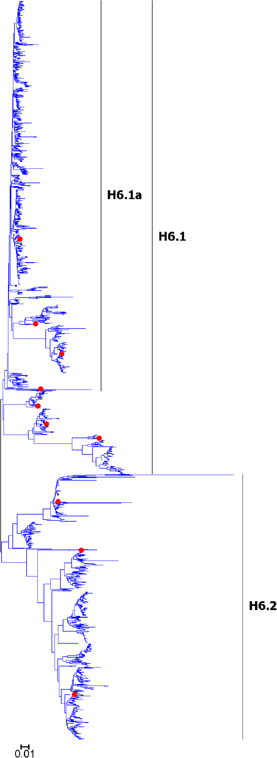 Fig. 8