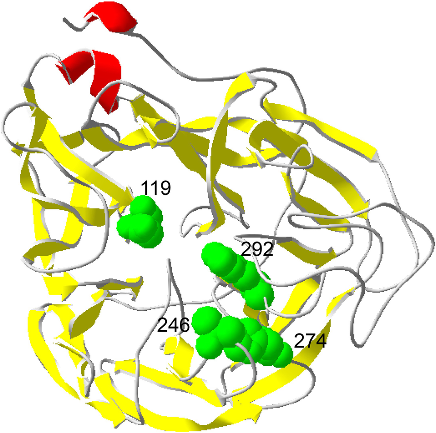 Fig. 2