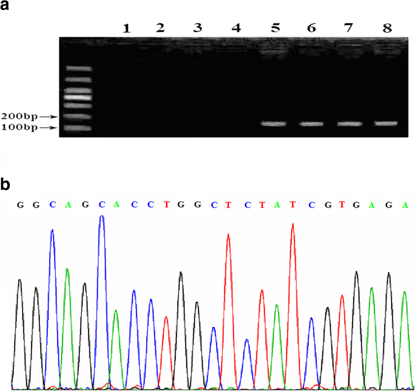 Fig. 4