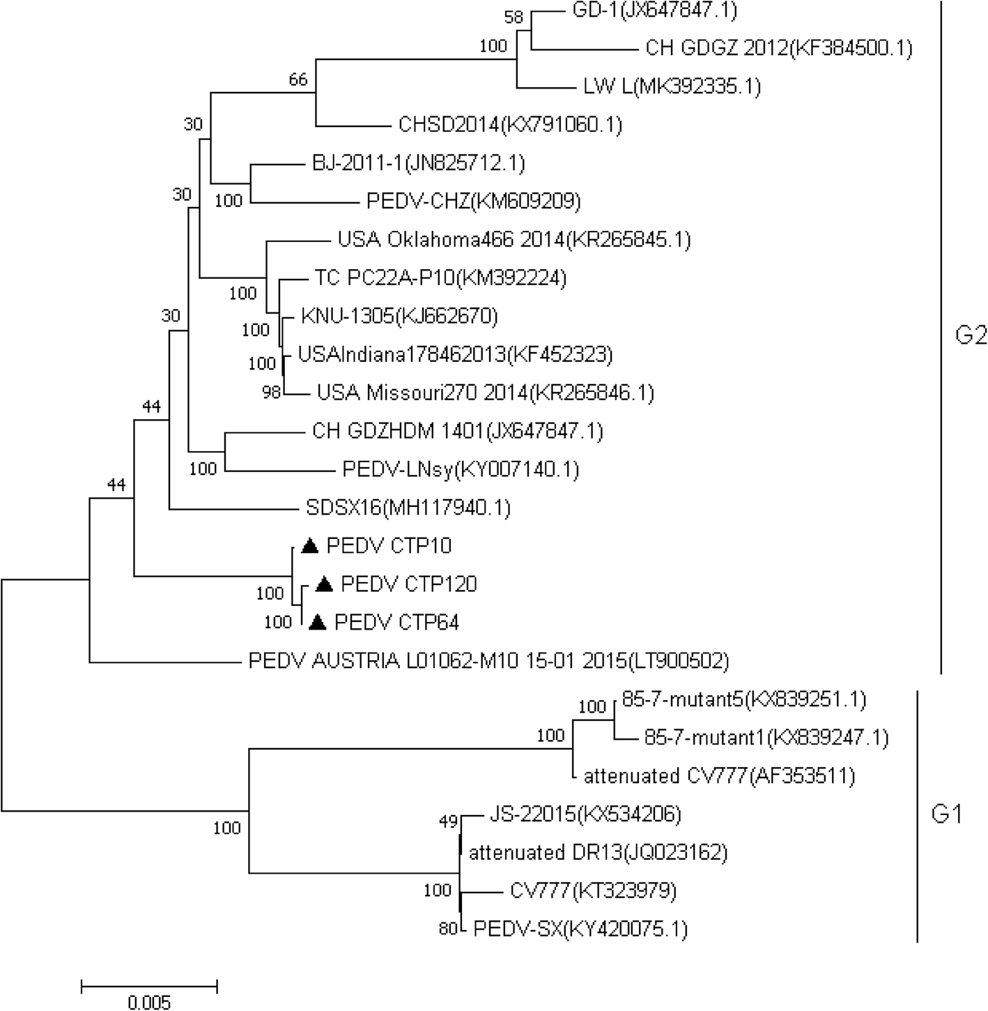 Fig. 6