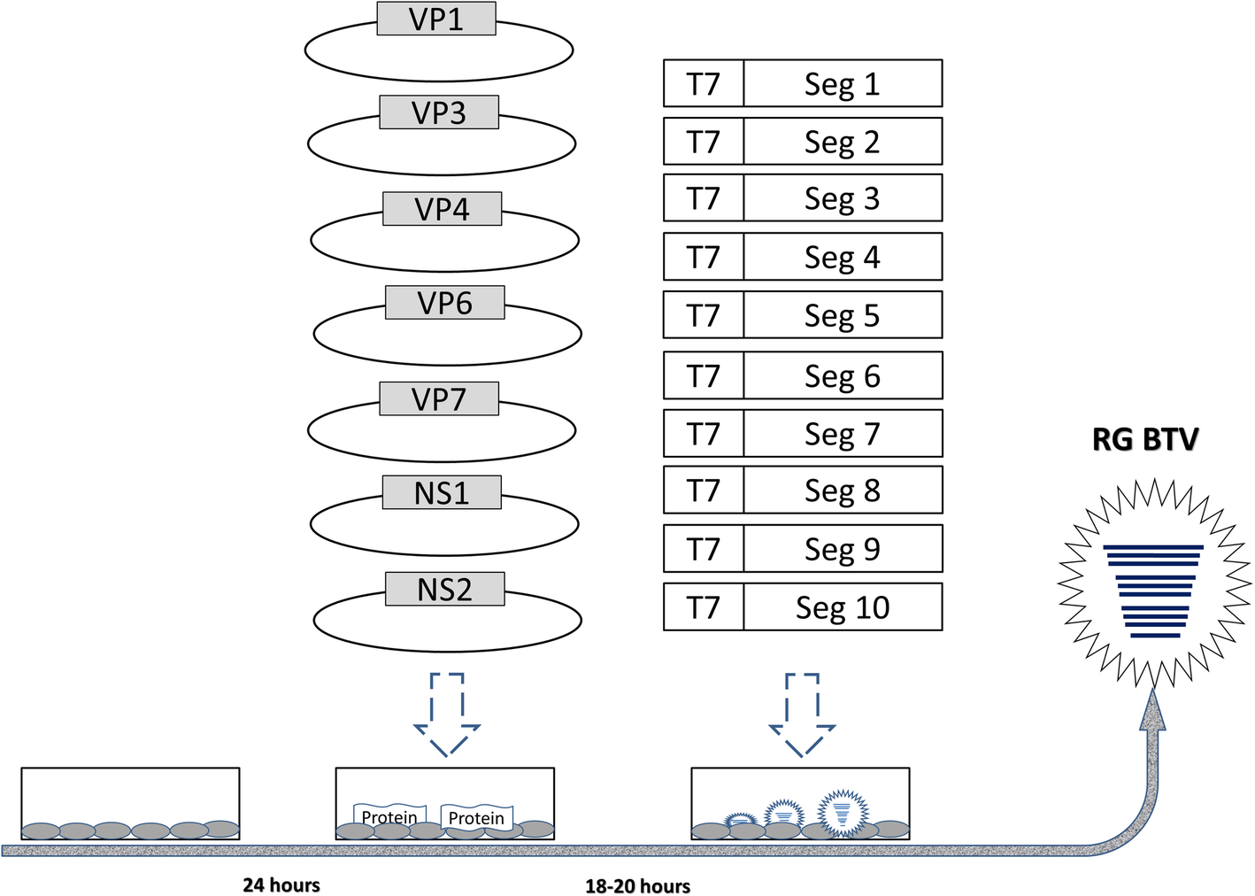 Fig. 2