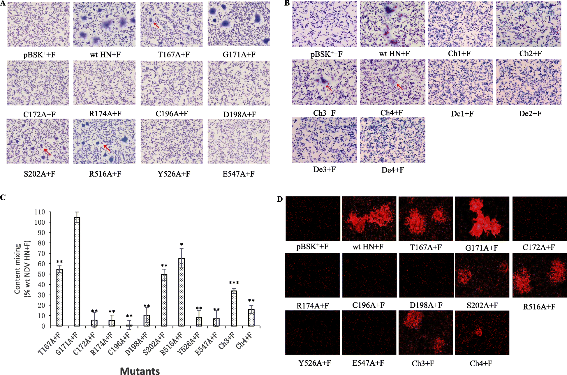 Fig. 4