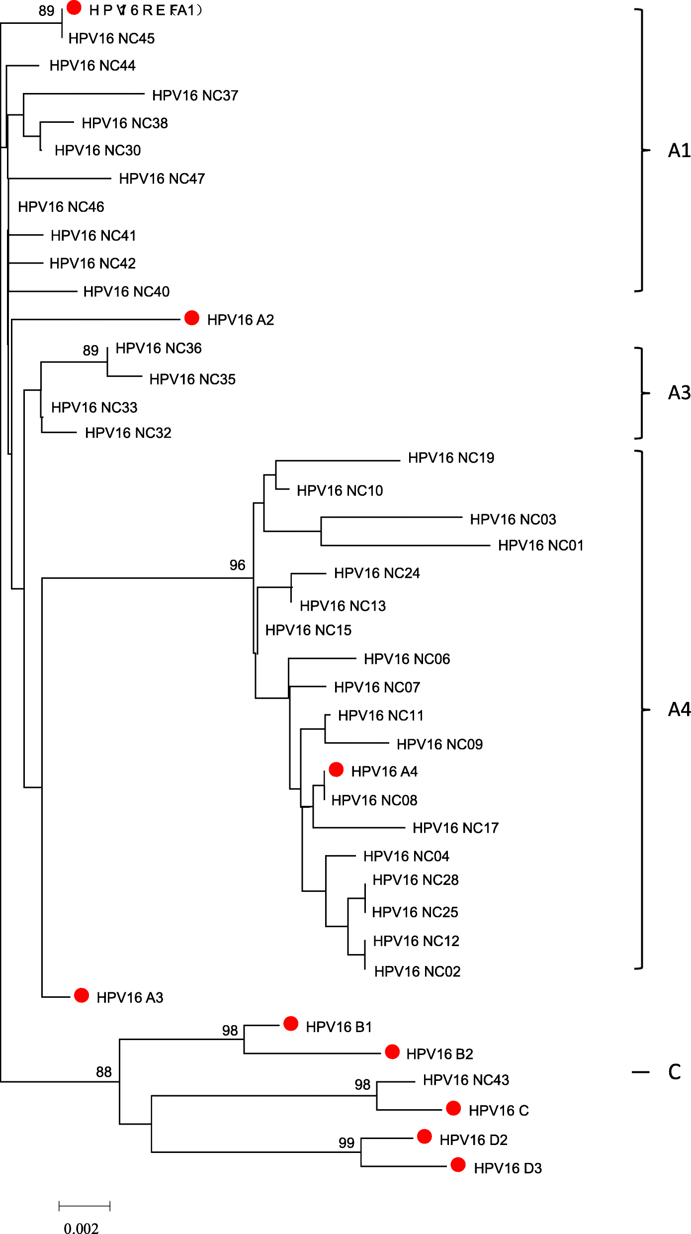 Fig. 2