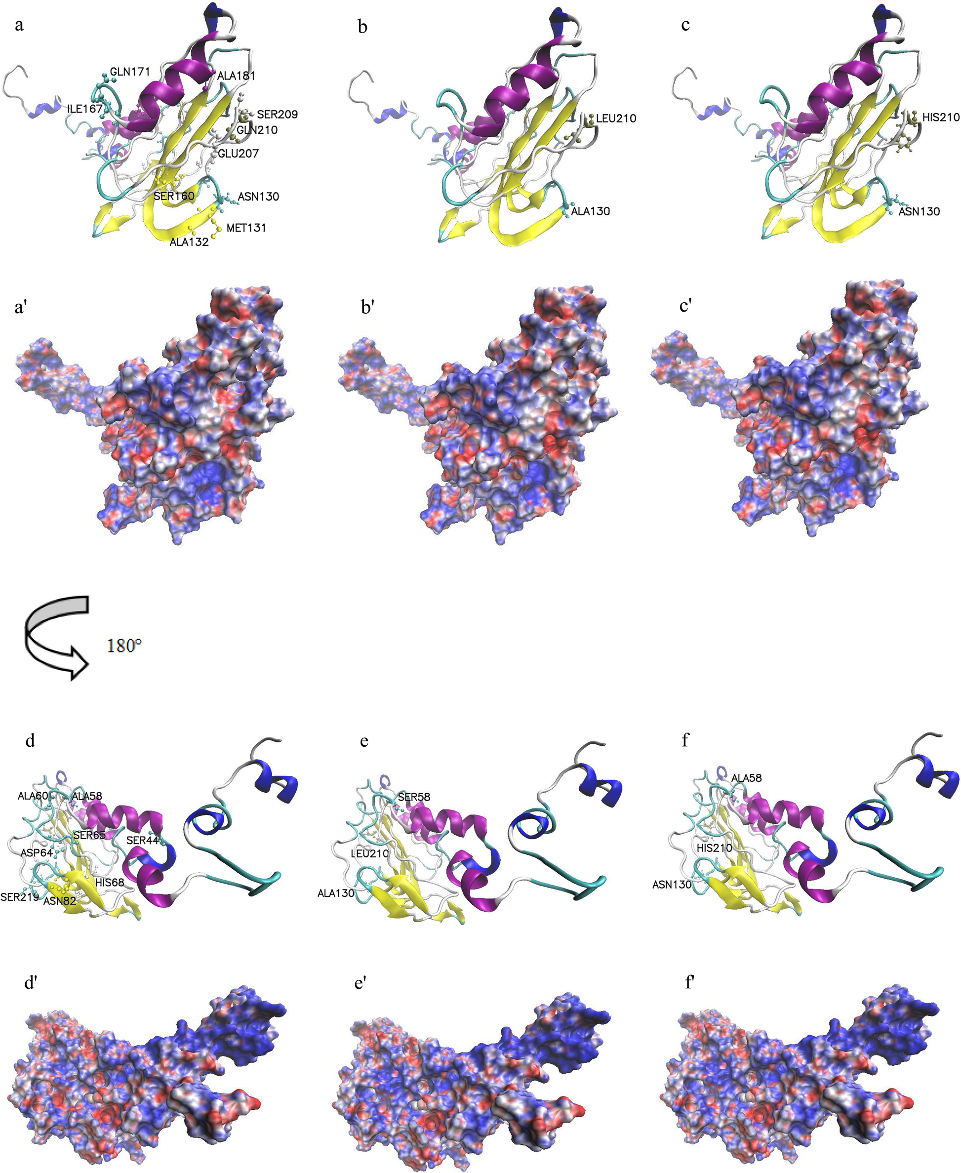 Fig. 7