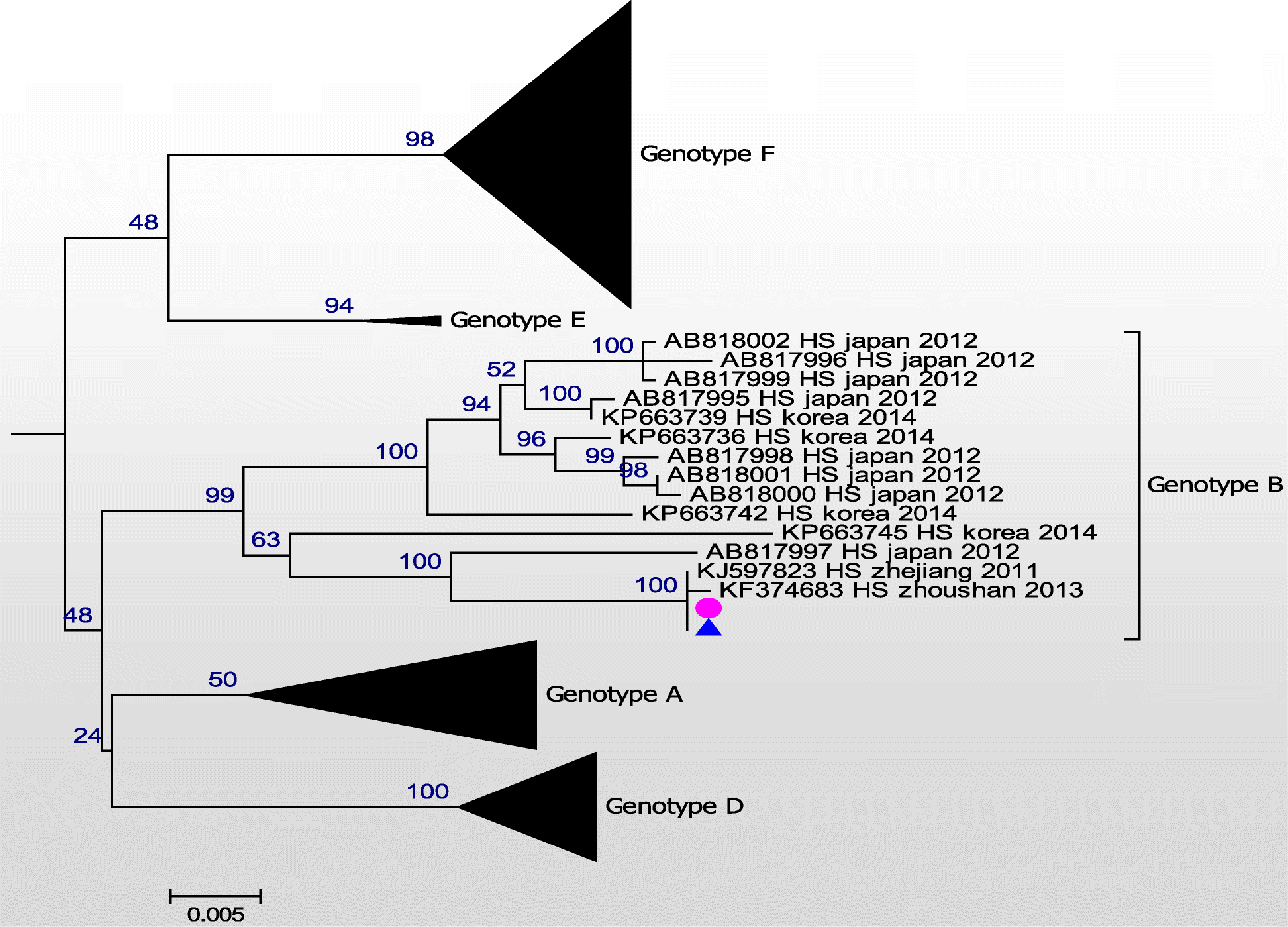 Fig. 2