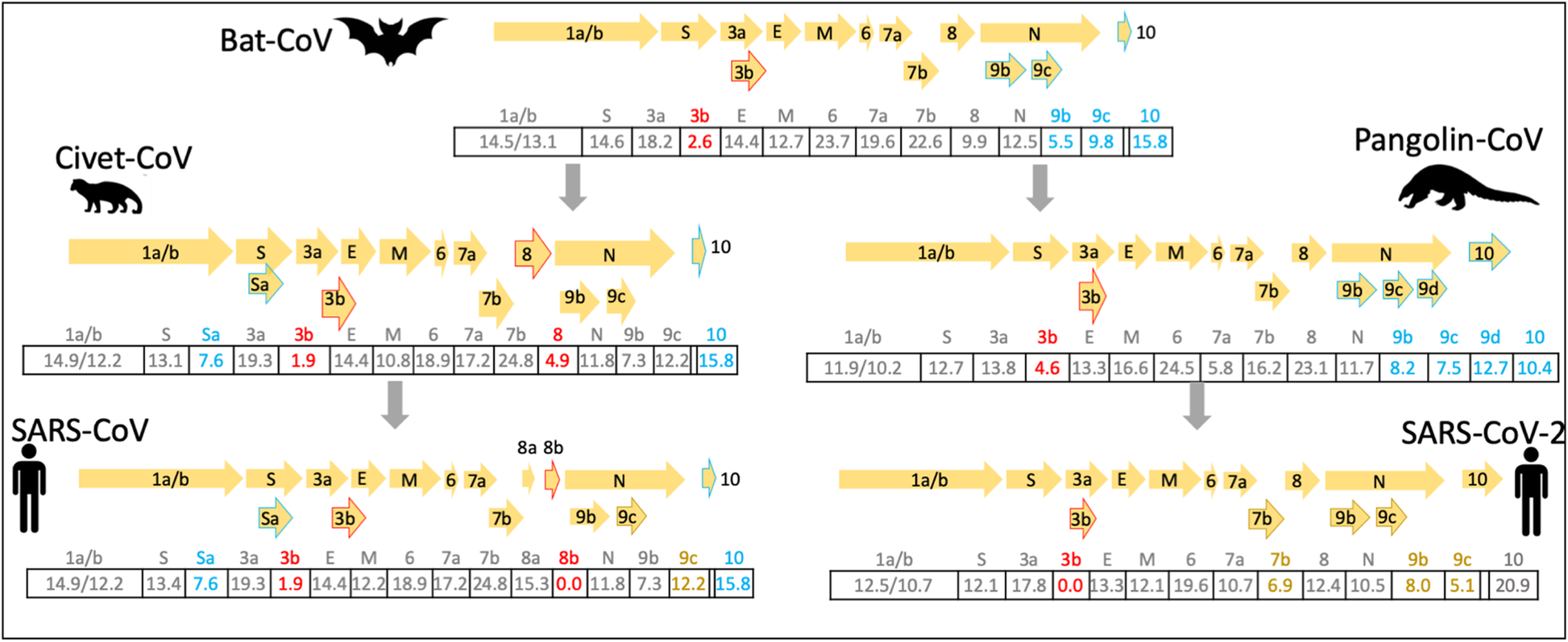 Fig. 3