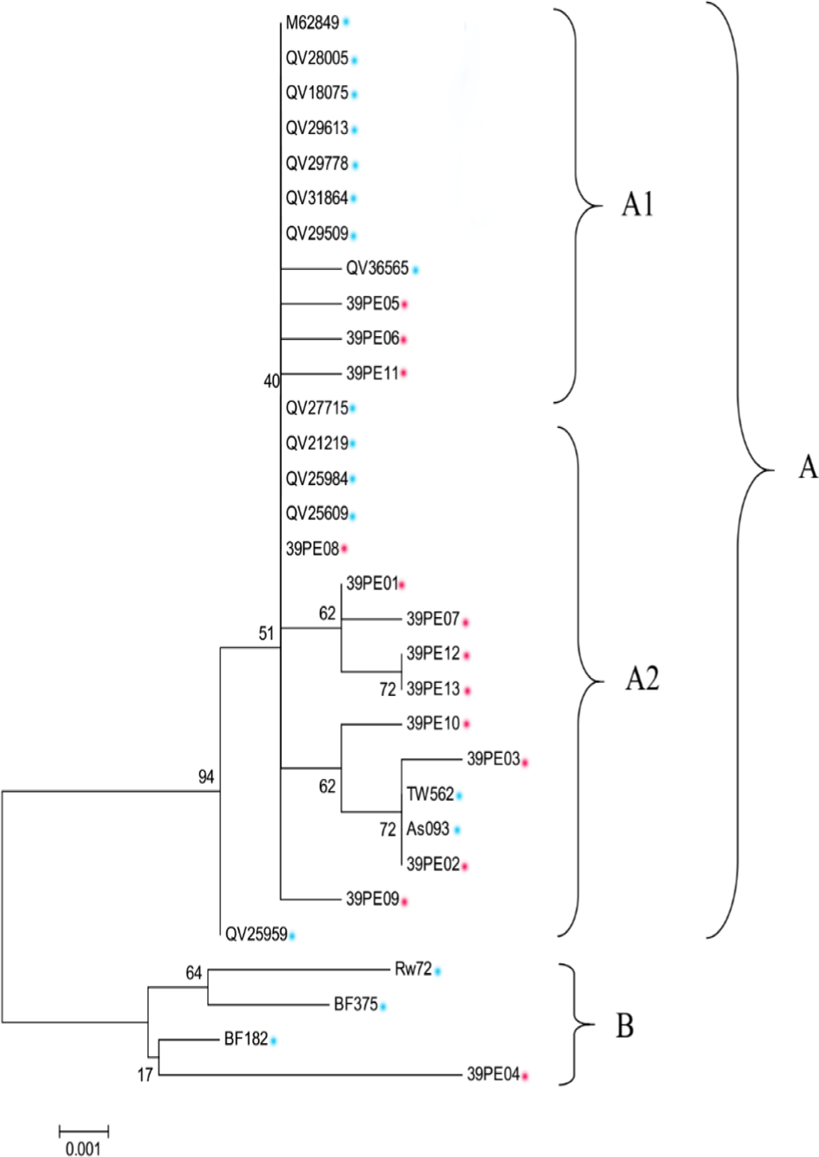 Fig. 3