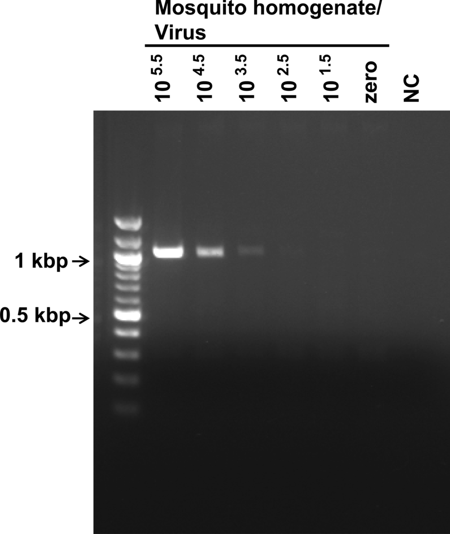 Fig. 5