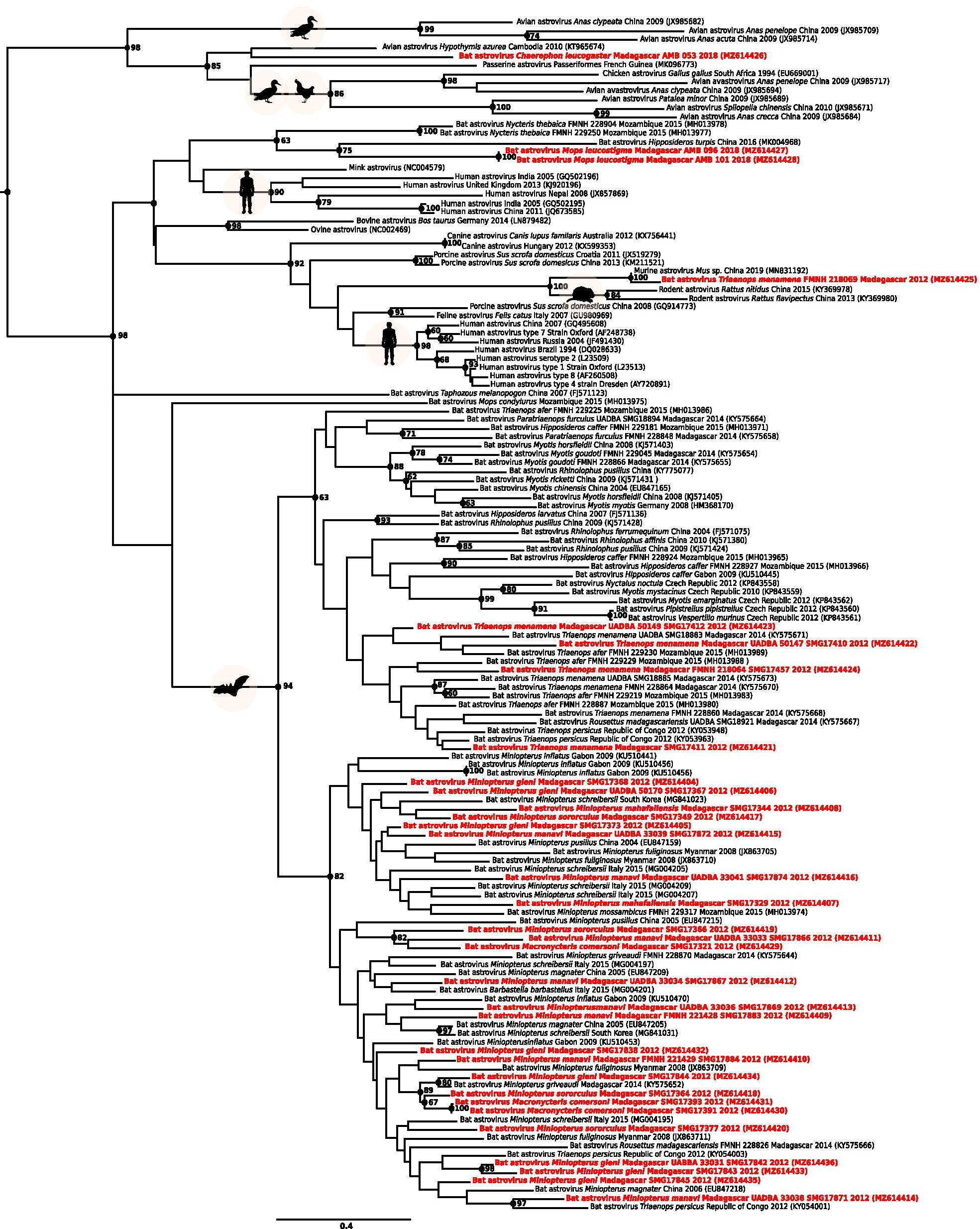 Fig. 4