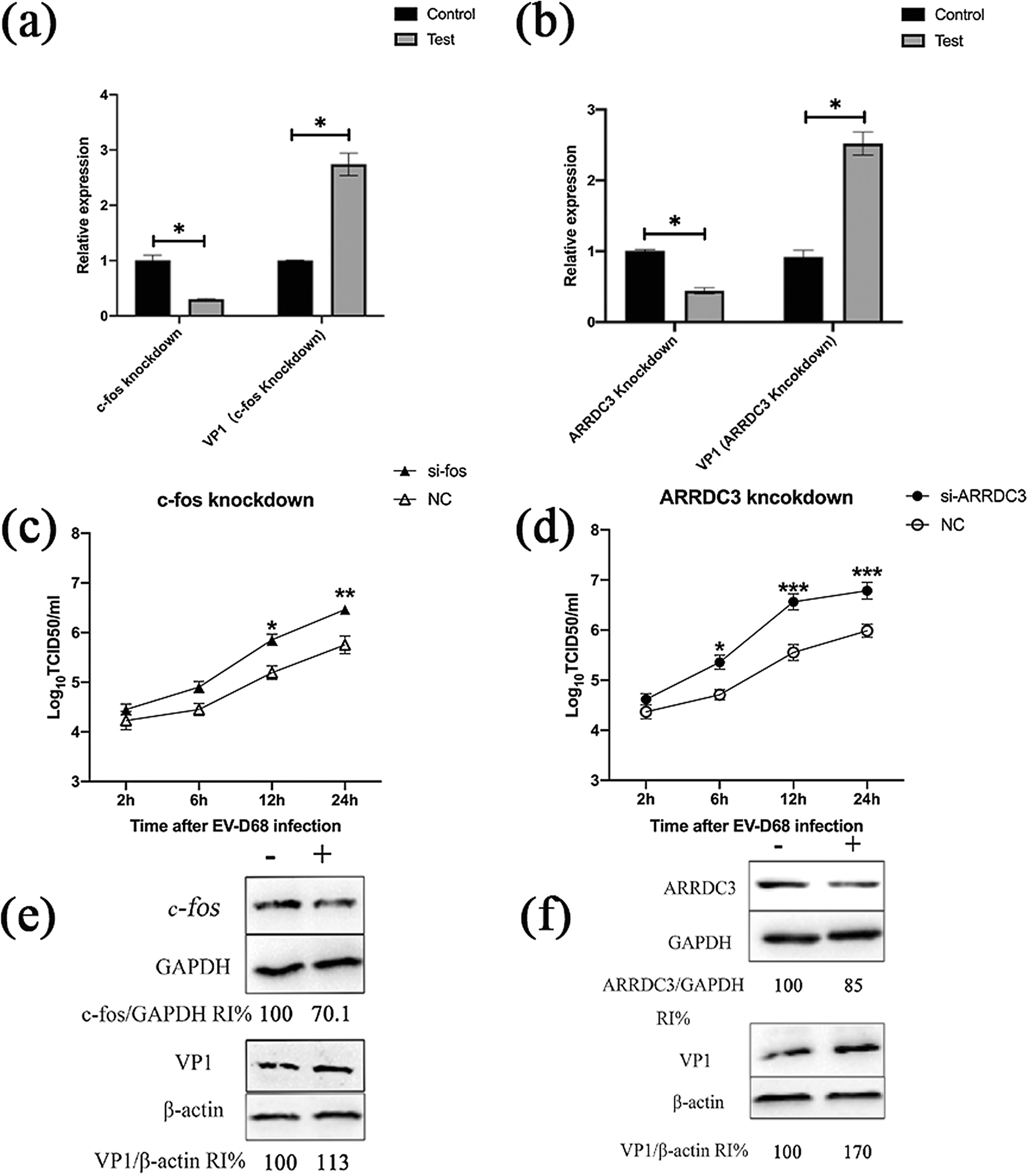 Fig. 11