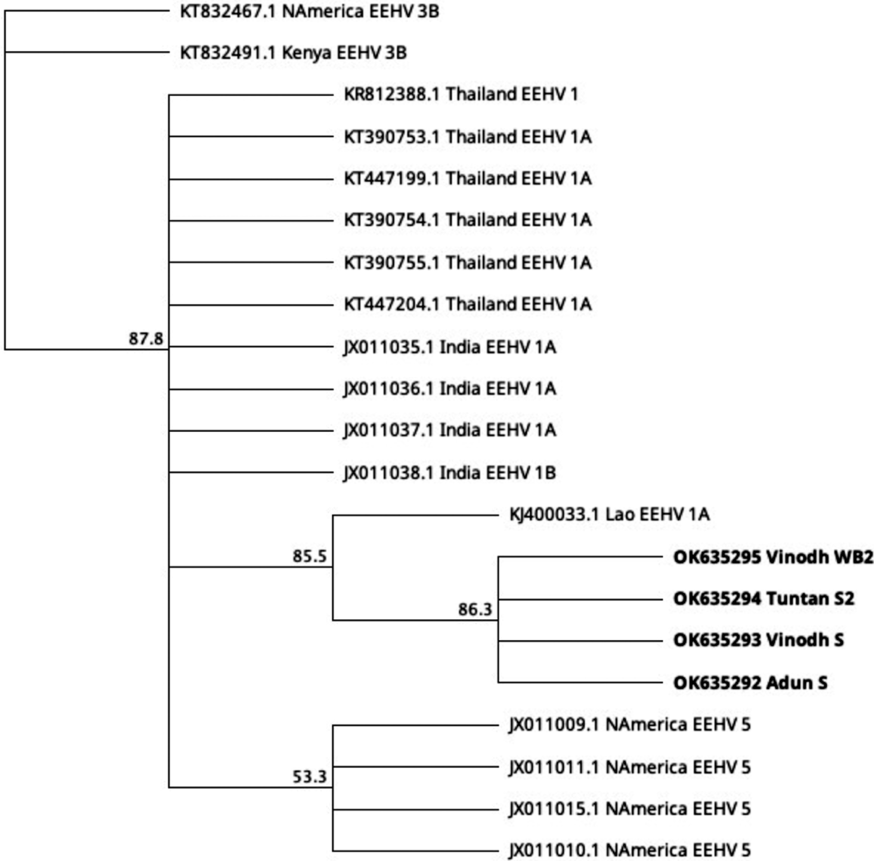 Fig. 2