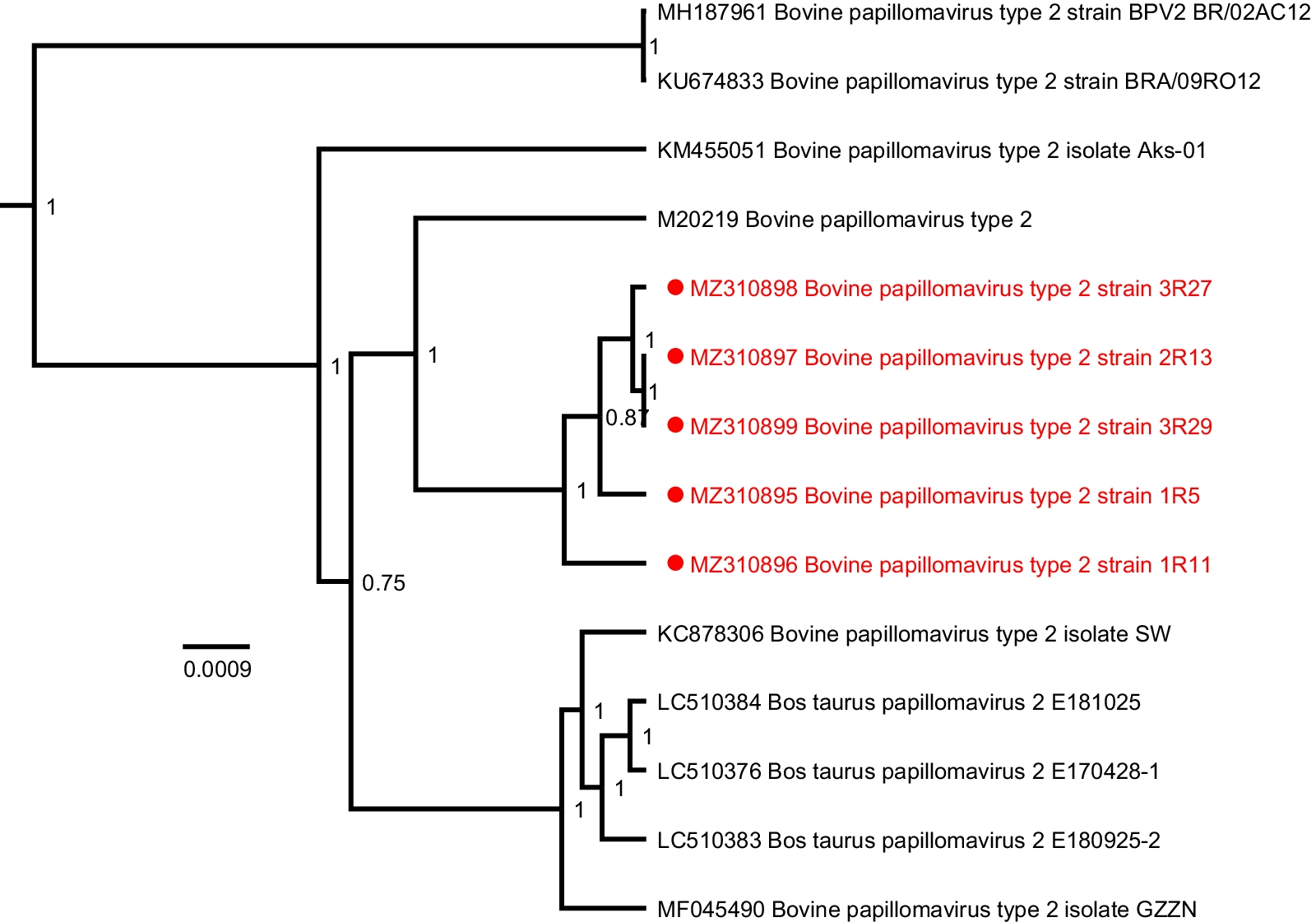 Fig. 3