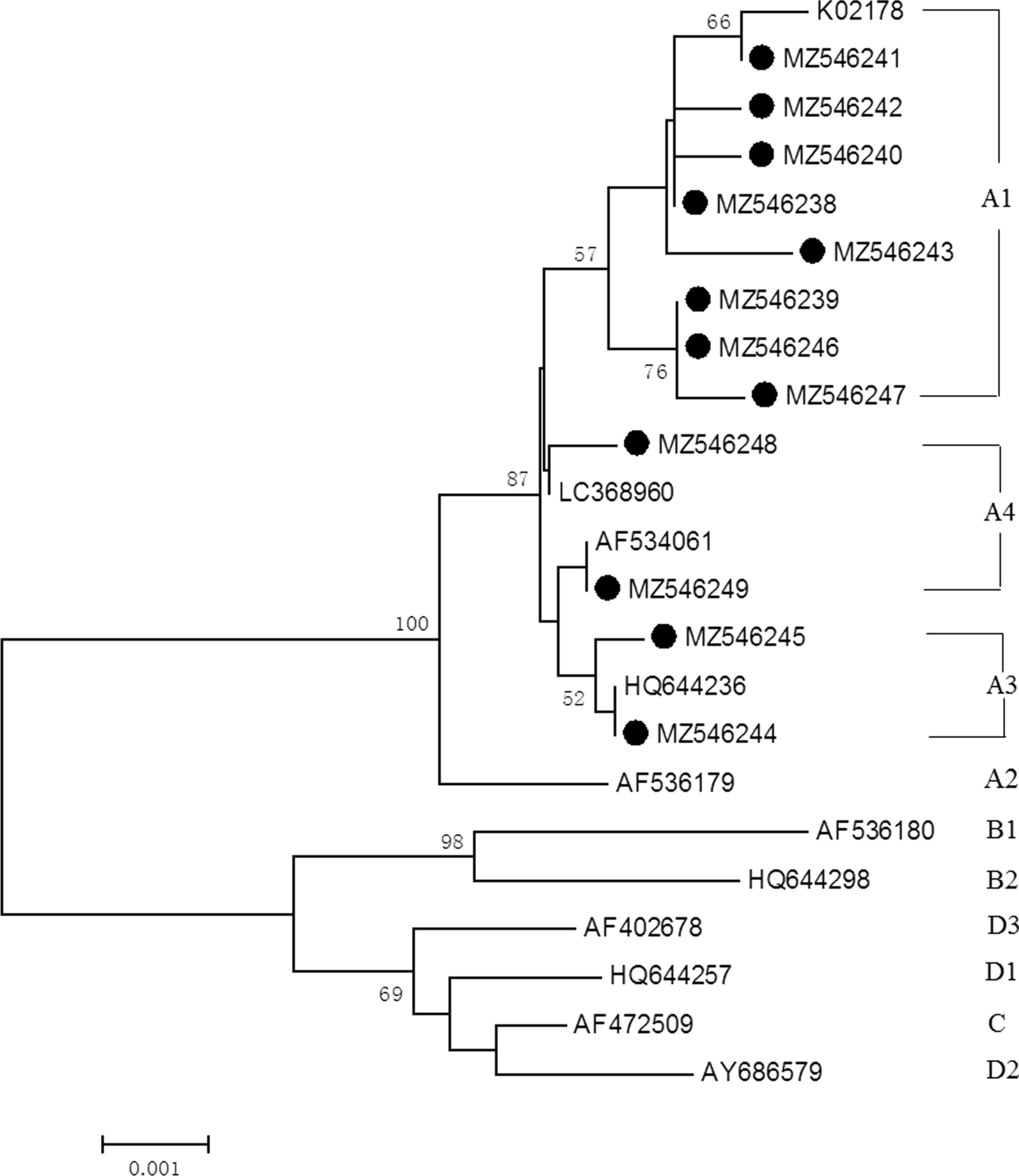 Fig. 4