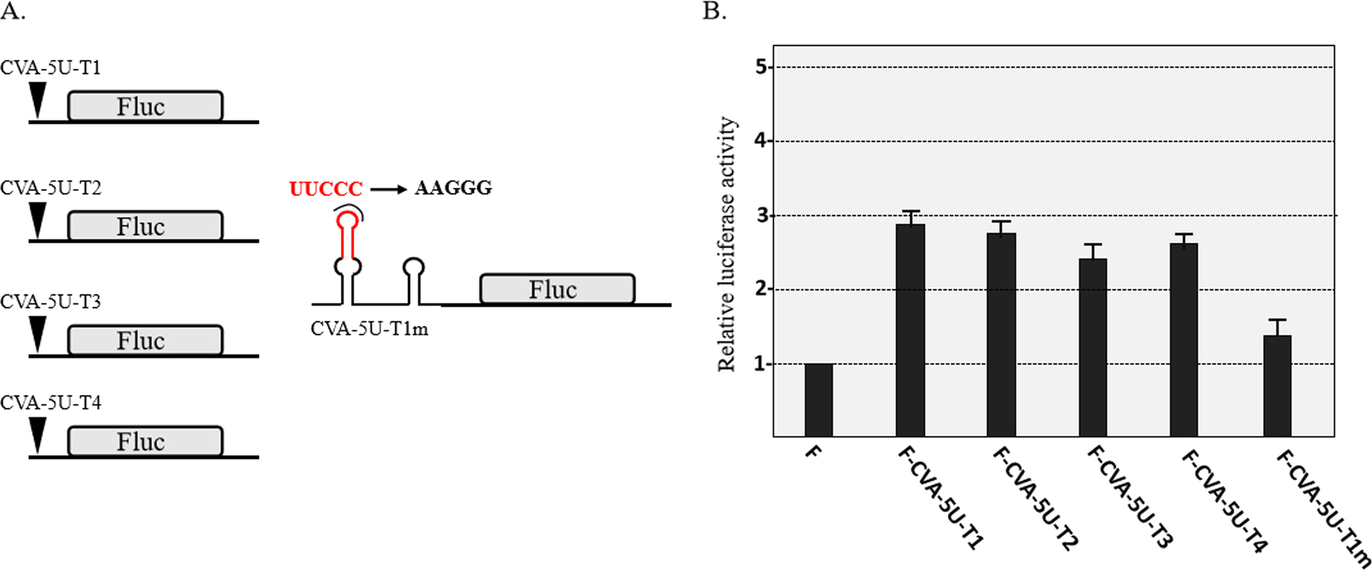 Fig. 5