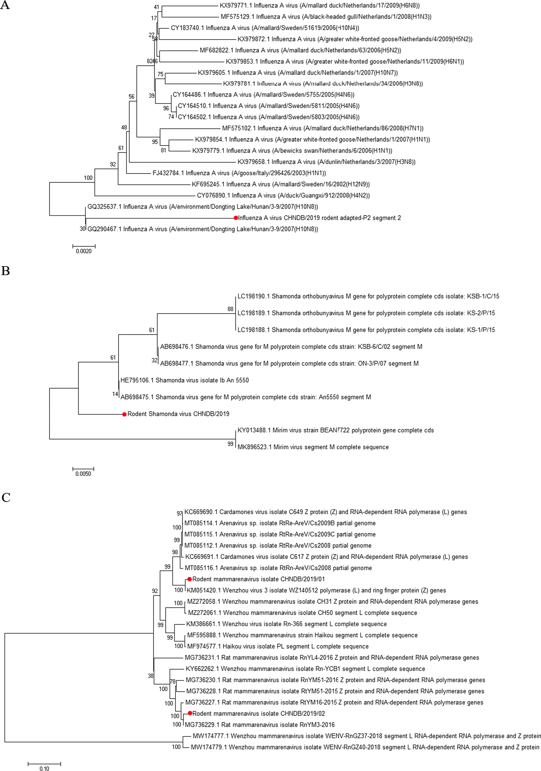 Fig. 3