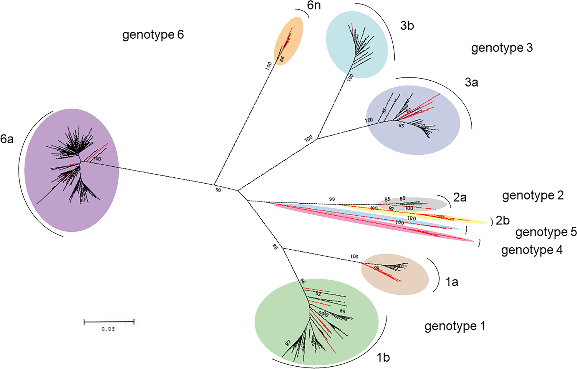 Fig. 2