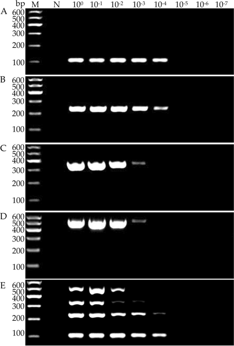 Fig. 4