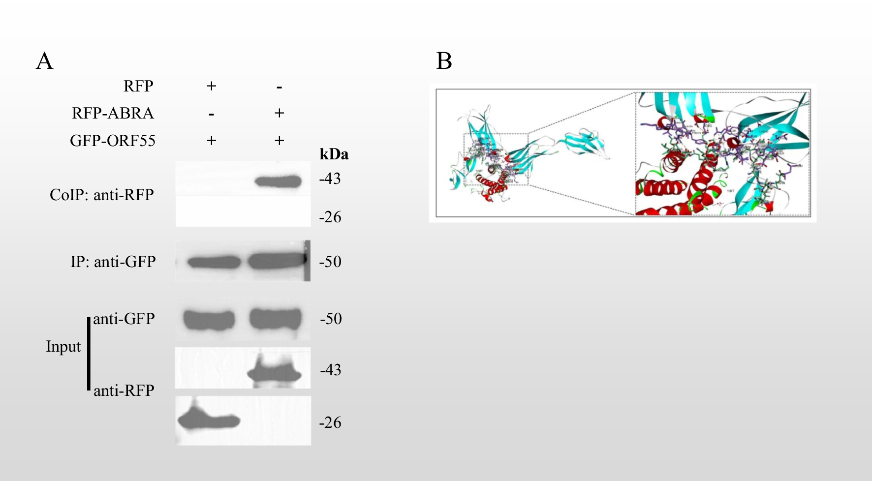 Fig. 8