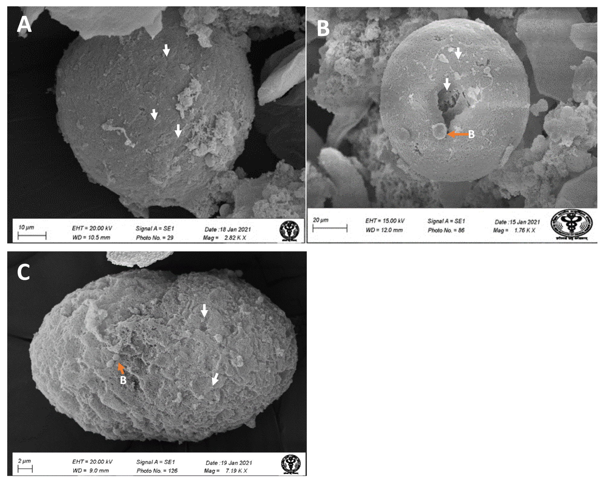 Fig. 4