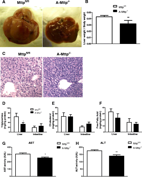 Fig. 10