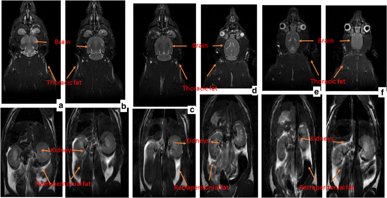 Fig. 10