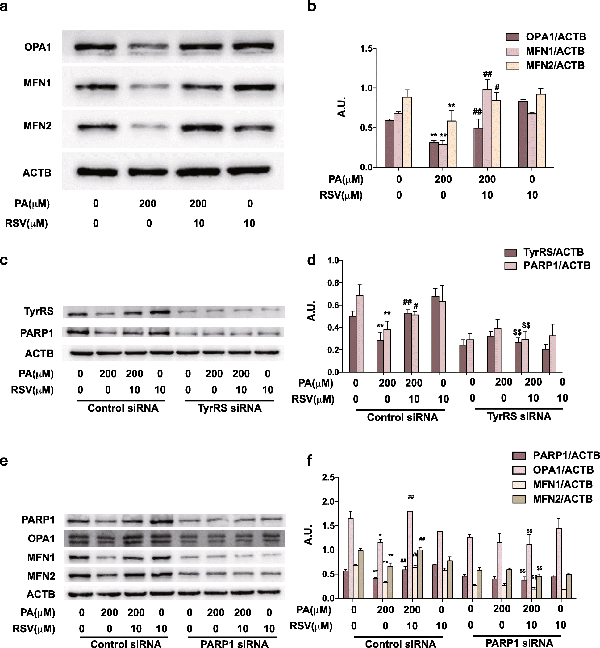 Fig. 5