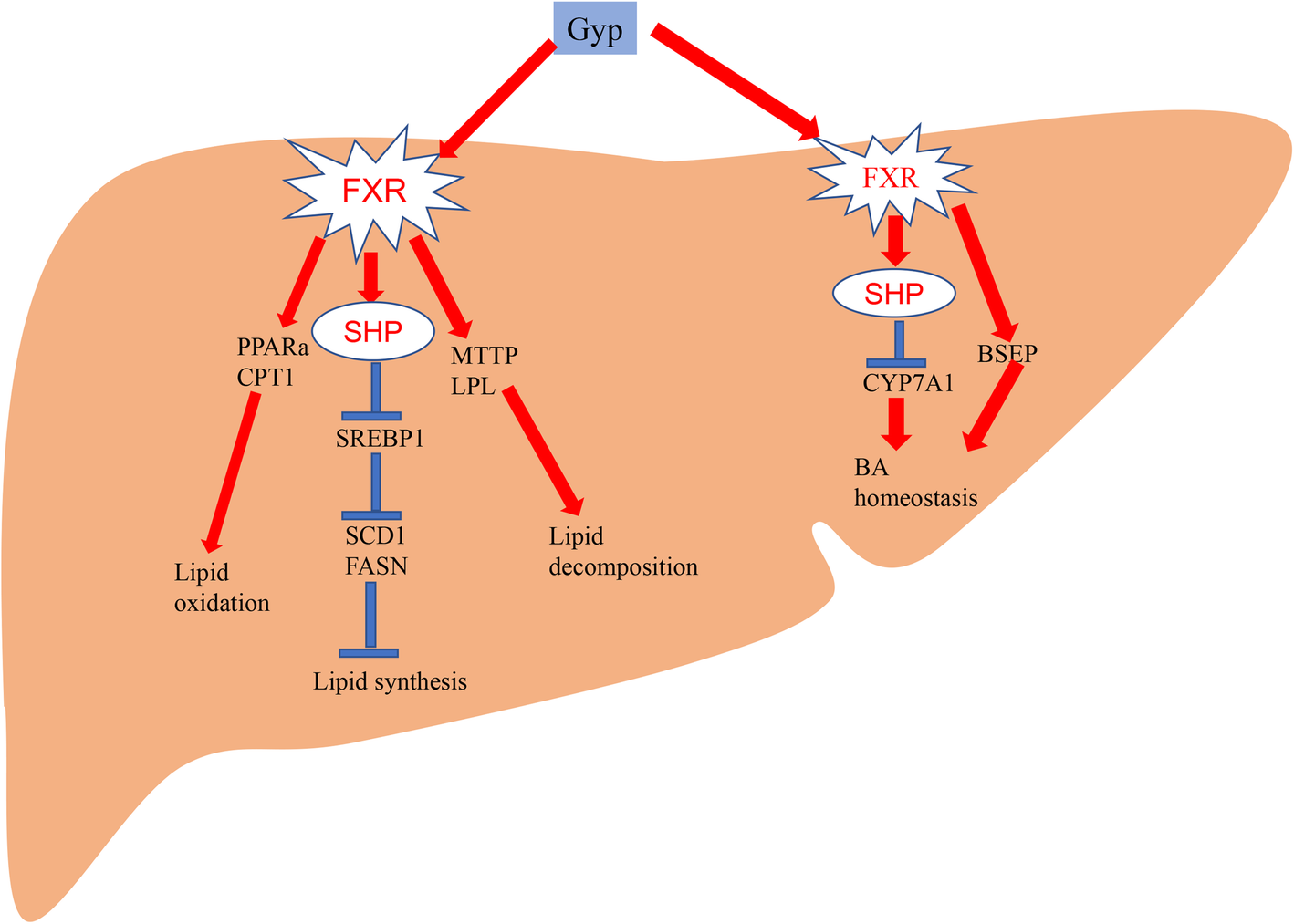 Fig. 12