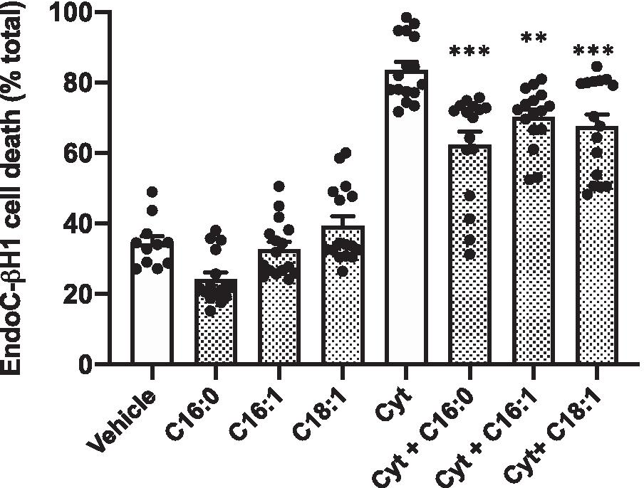 Fig.4